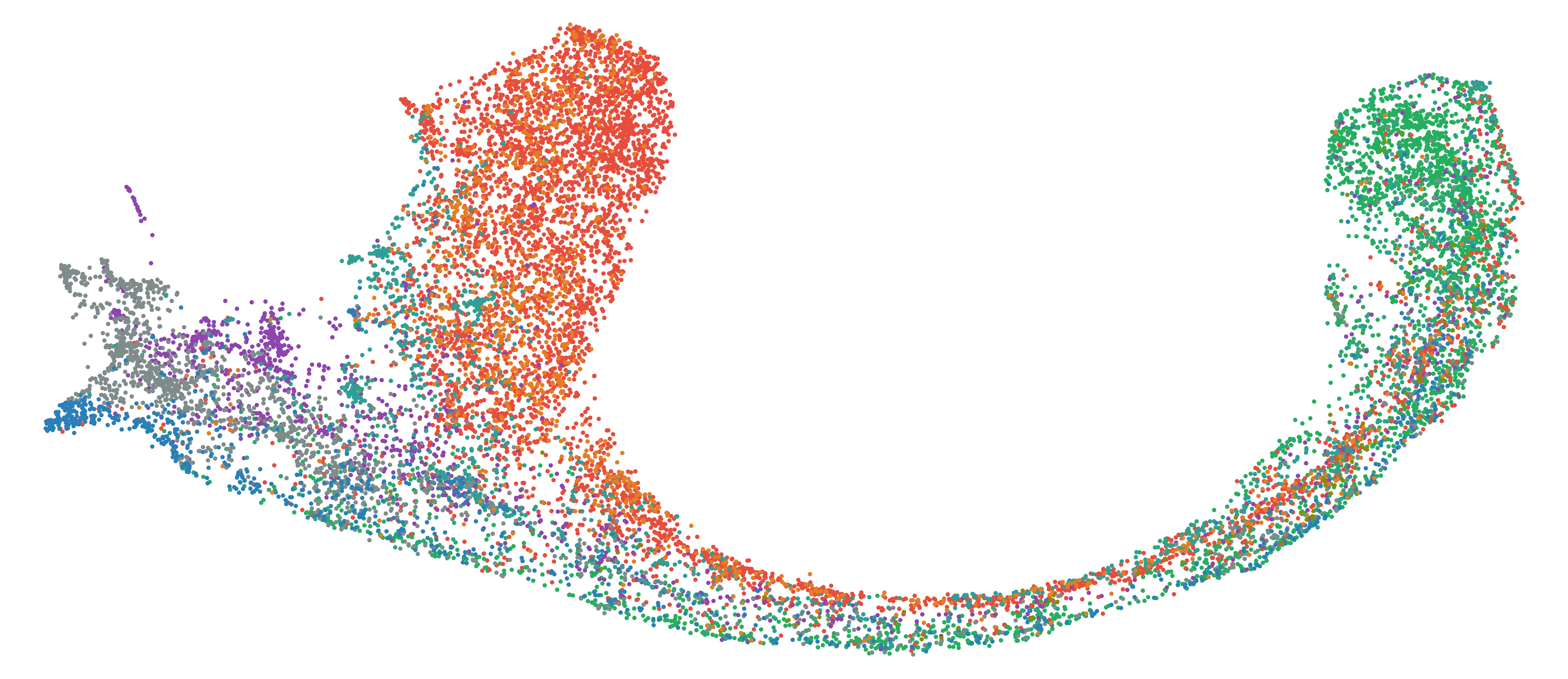 barktown embeddings projection